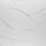 MS019