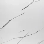 MS020